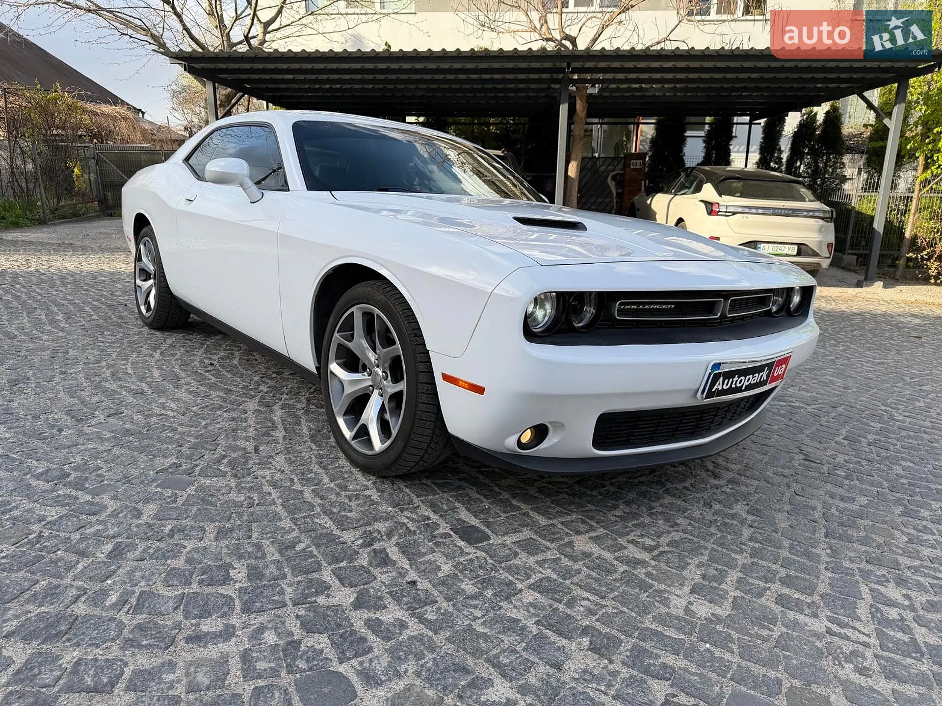 2016 Dodge Challenger - мініатюра 2