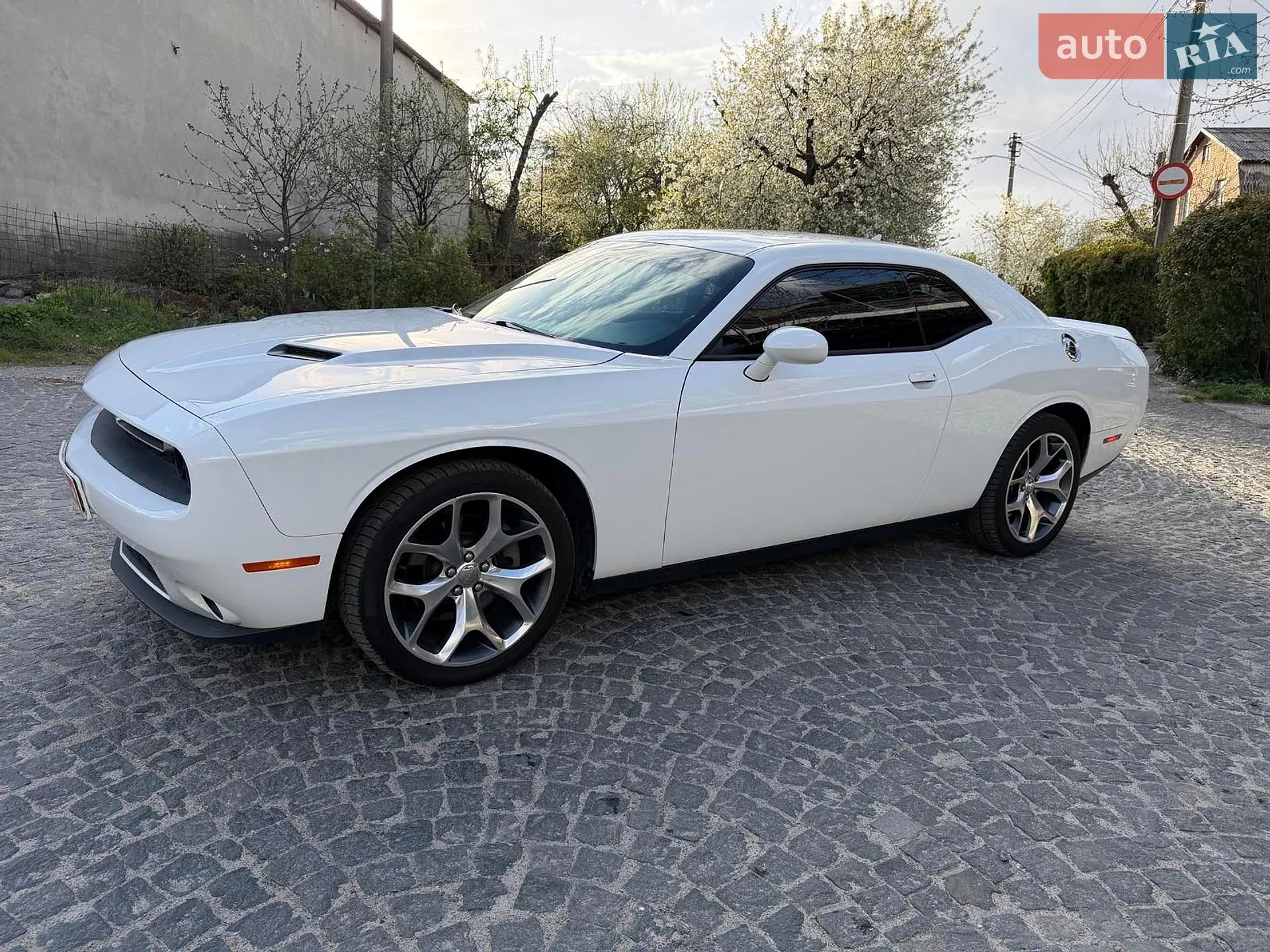 2016 Dodge Challenger - мініатюра 10