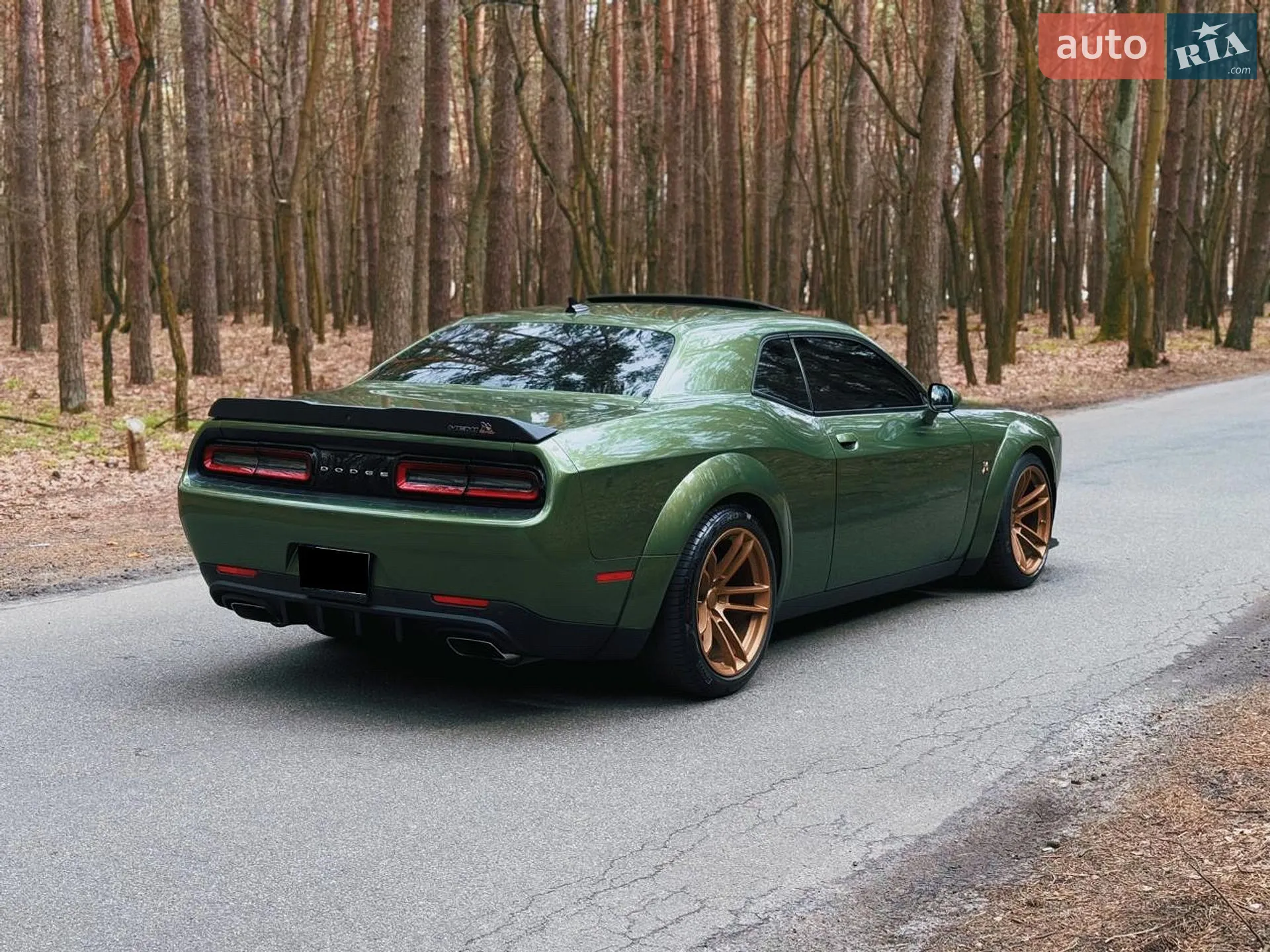 2018 Dodge Challenger - мініатюра 12