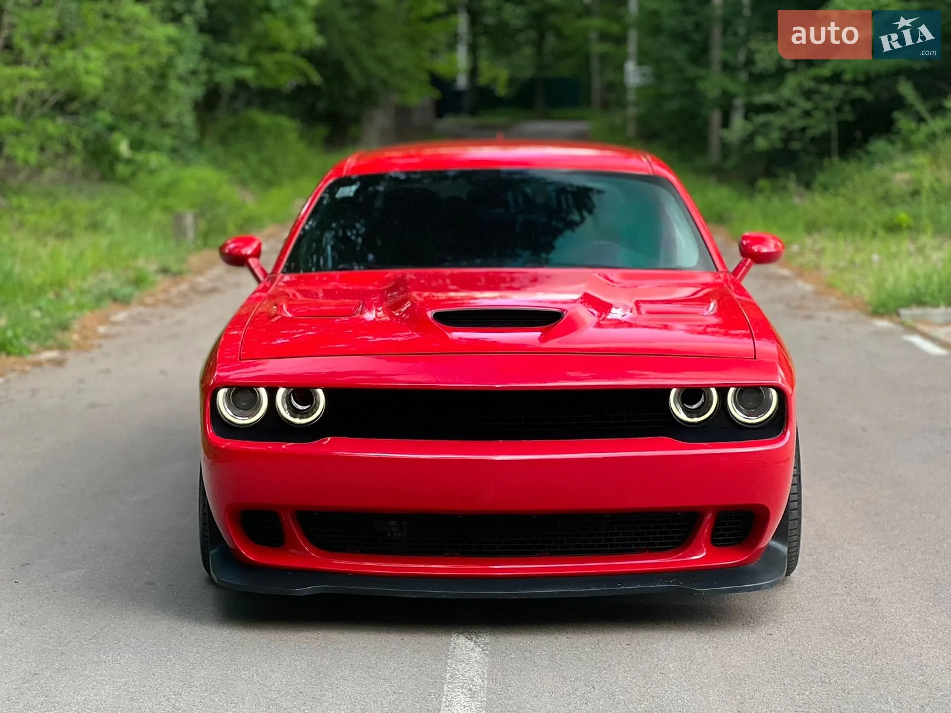 2016 Dodge Challenger - мініатюра 2