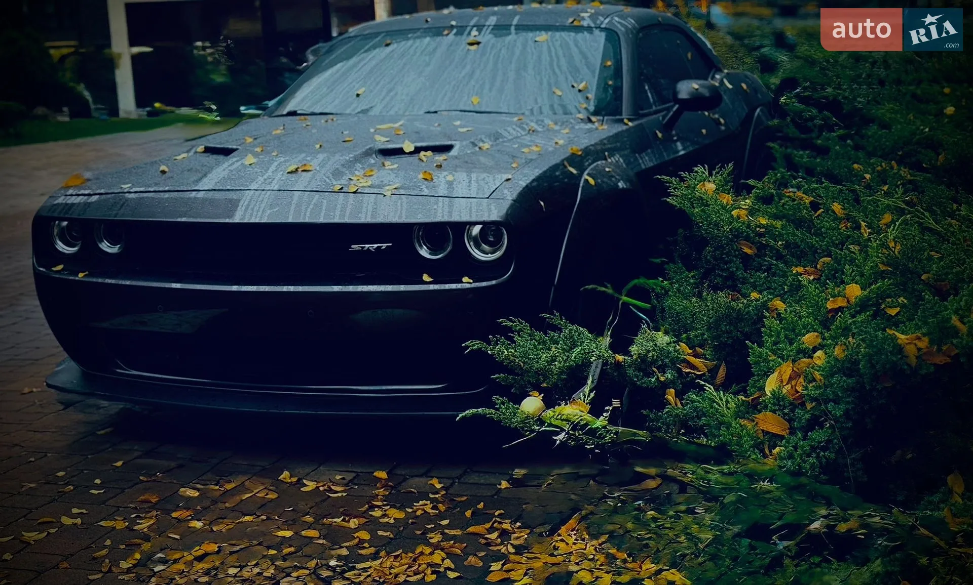 2018 Dodge Challenger - мініатюра 6