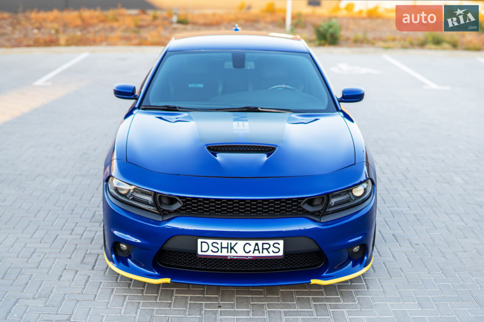 2019 Dodge Charger - мініатюра 15