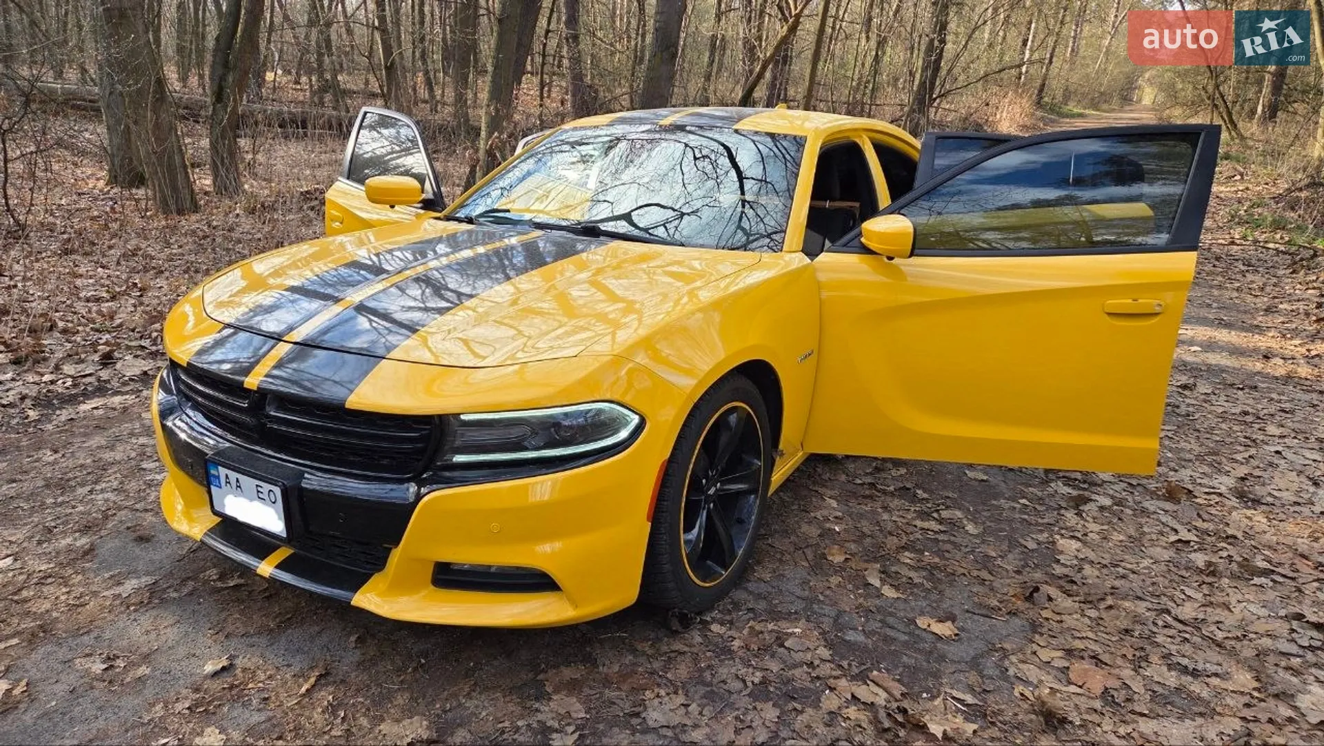 2017 Dodge Charger - мініатюра 4
