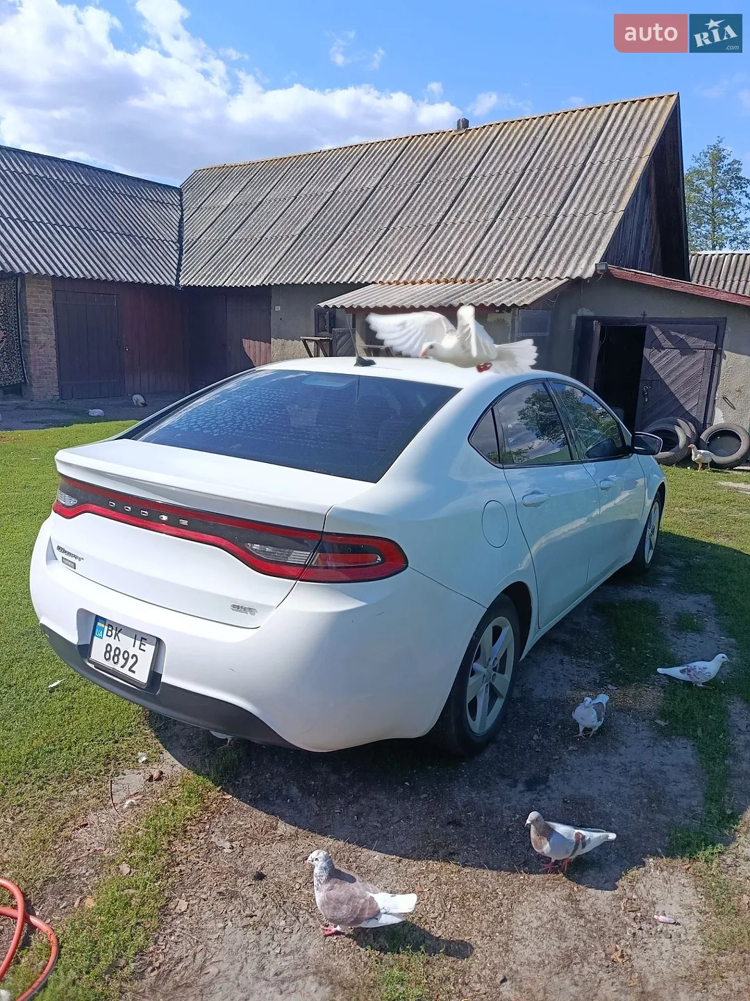 2015 Dodge Dart - мініатюра 7