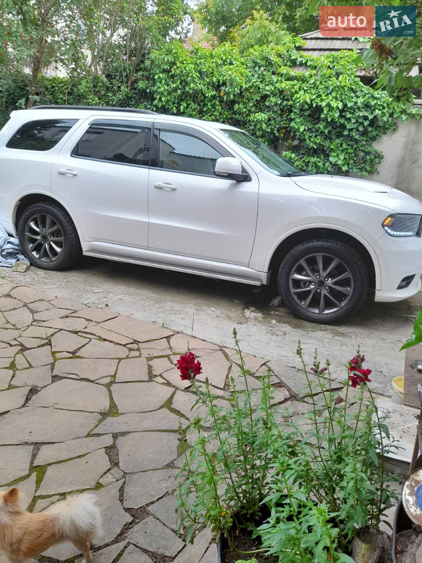2017 Dodge Durango - мініатюра 3