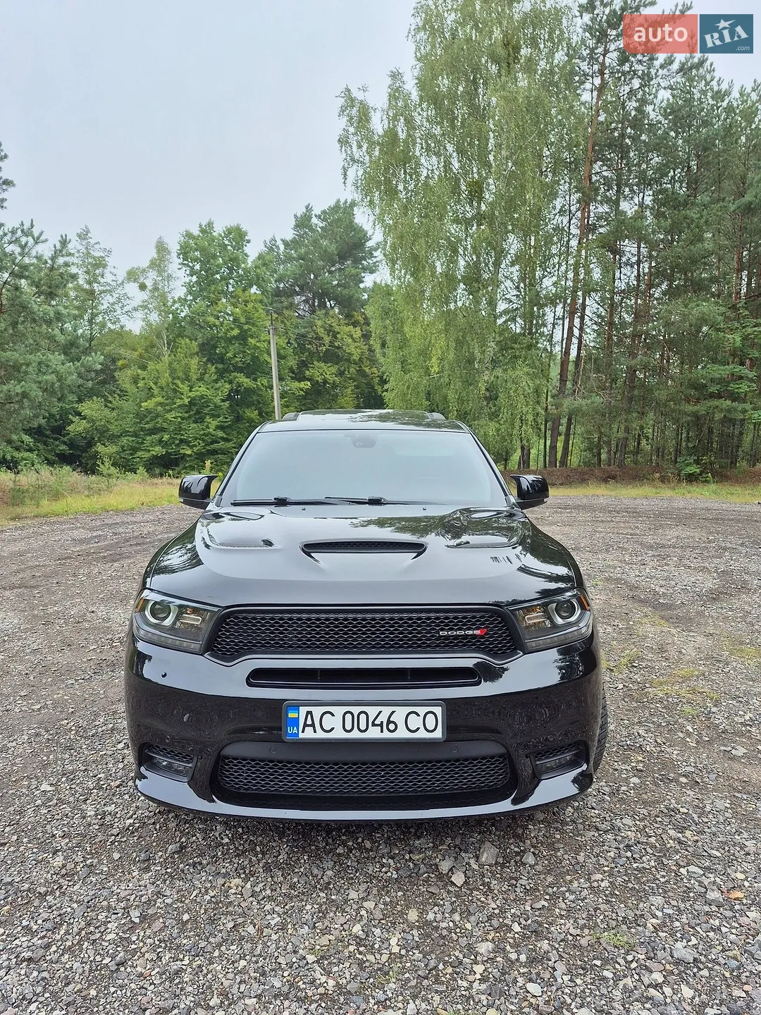 2016 Dodge Durango - мініатюра 2
