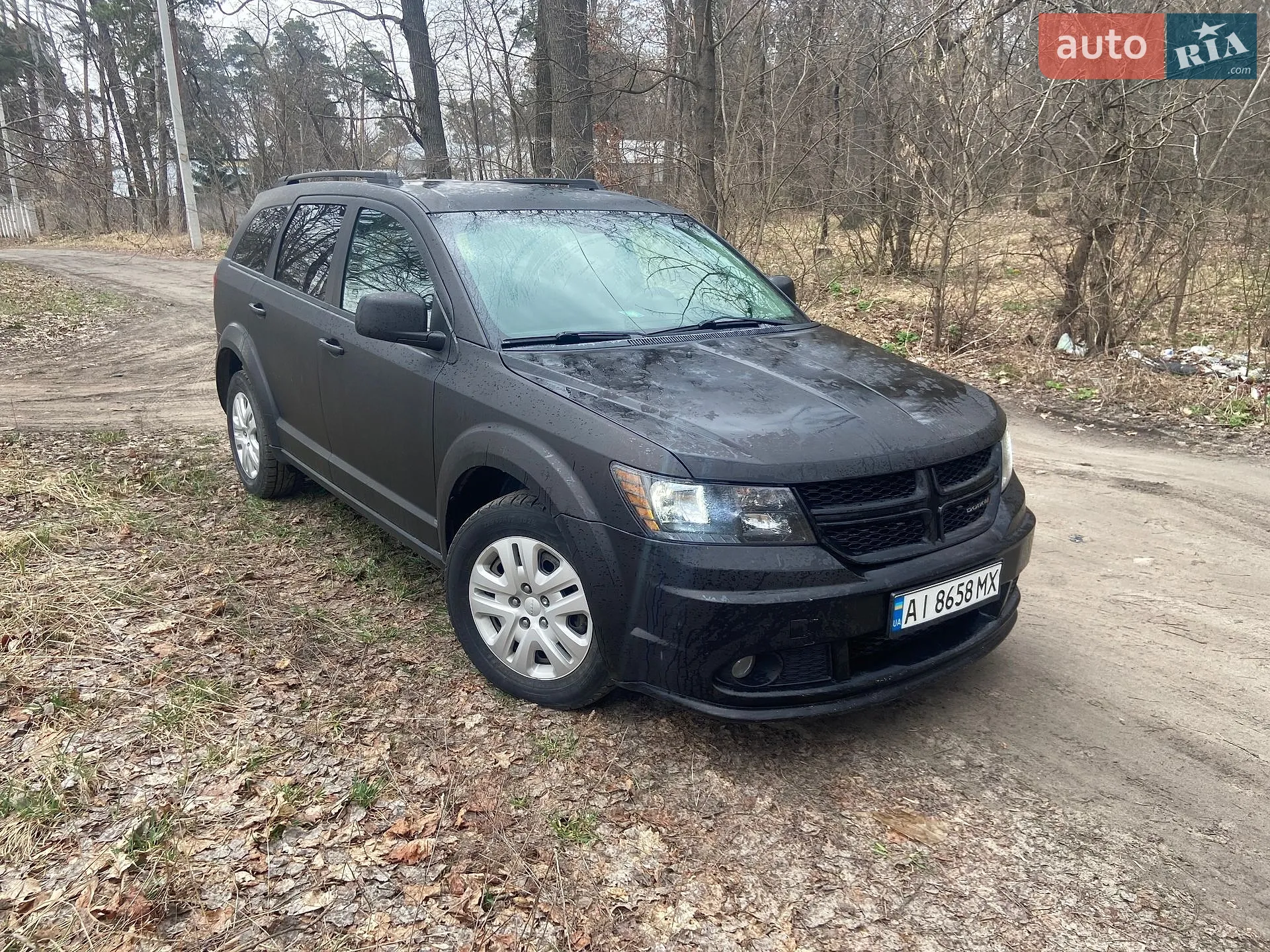 2016 Dodge Journey - мініатюра 3