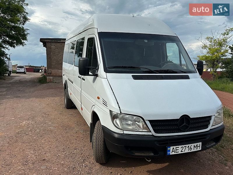 Микроавтобус Dodge Sprinter 2002 в Кривом Роге