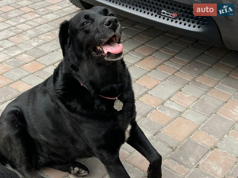 Хэтчбек Fiat 500e 2015 в Киеве фото 17 Хэтчбек Fiat 500e 2015 в Киеве