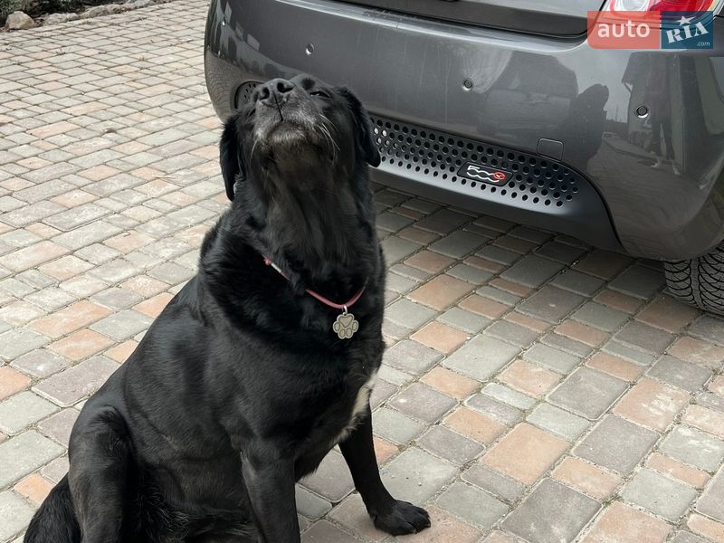 Хэтчбек Fiat 500e 2015 в Киеве фото 2 Хэтчбек Fiat 500e 2015 в Киеве