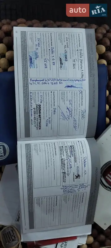 Микровэн Fiat Doblo Panorama 2010 в Житомире документ