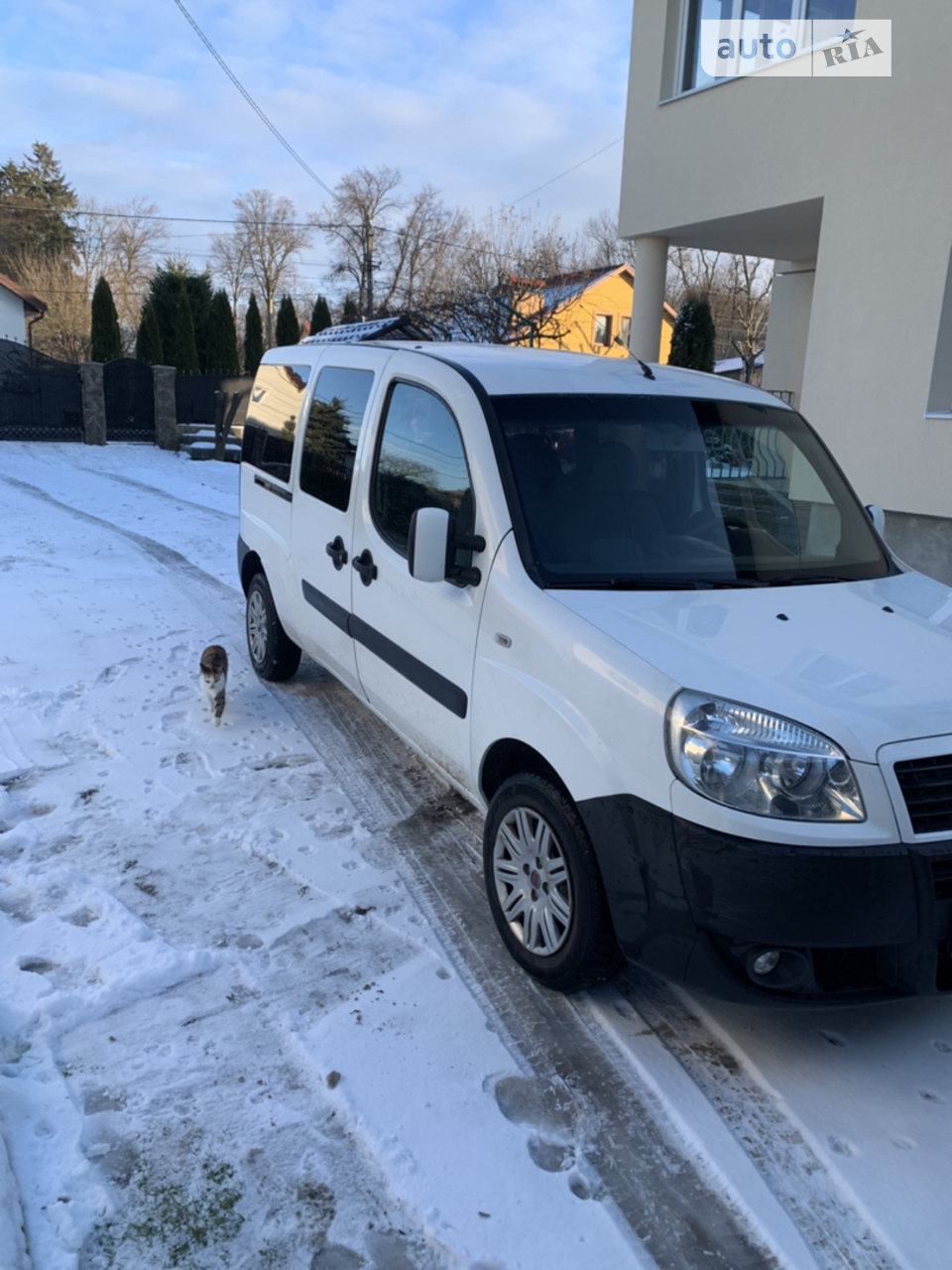 2010 Fiat Doblo - мініатюра 11