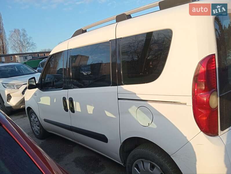 Минивэн Fiat Doblo 2010 в Житомире