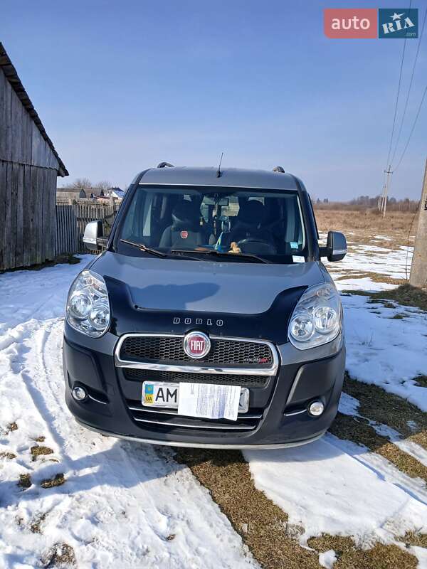 Минивэн Fiat Doblo 2010 в Олевске