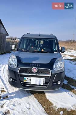 Минивэн Fiat Doblo 2010 в 