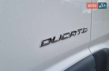 Другие автобусы Fiat Ducato 2017 в Стрые