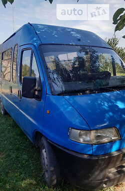 Микроавтобус Fiat Ducato 1995 в Киеве