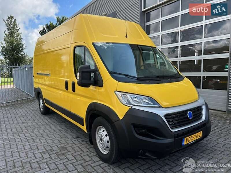 Fiat Ducato 2019
