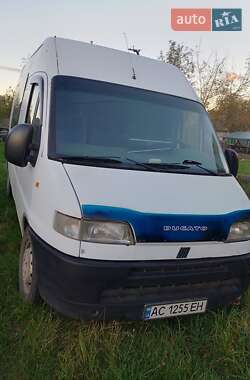 Микроавтобус Fiat Ducato 1999 в Любомле