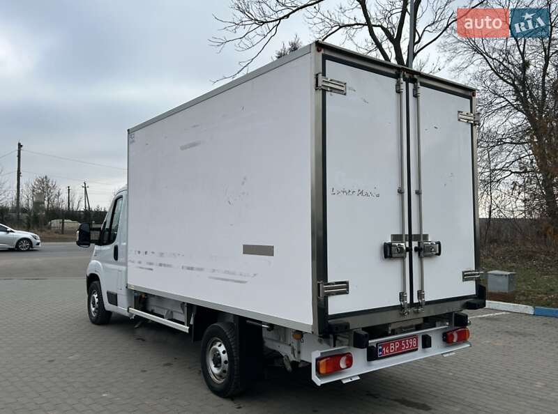 Рефрижератор Fiat Ducato 2020 в Львове