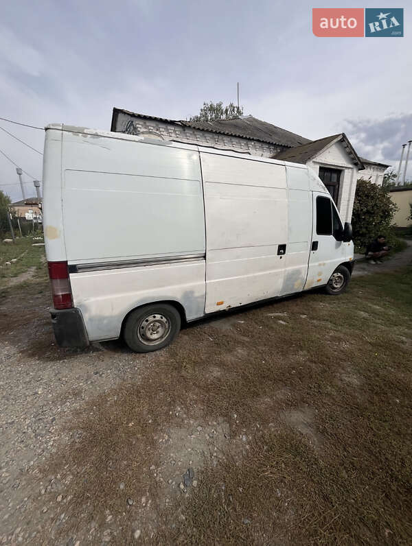 Грузовой фургон Fiat Ducato 1998 в Умани фото 6 Грузовой фургон Fiat Ducato 1998 в Умани