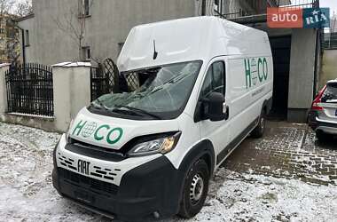 Вантажний фургон Fiat Ducato 2024 в Бродах