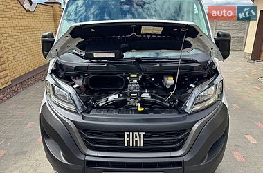 Вантажний фургон Fiat Ducato 2022 в Житомирі