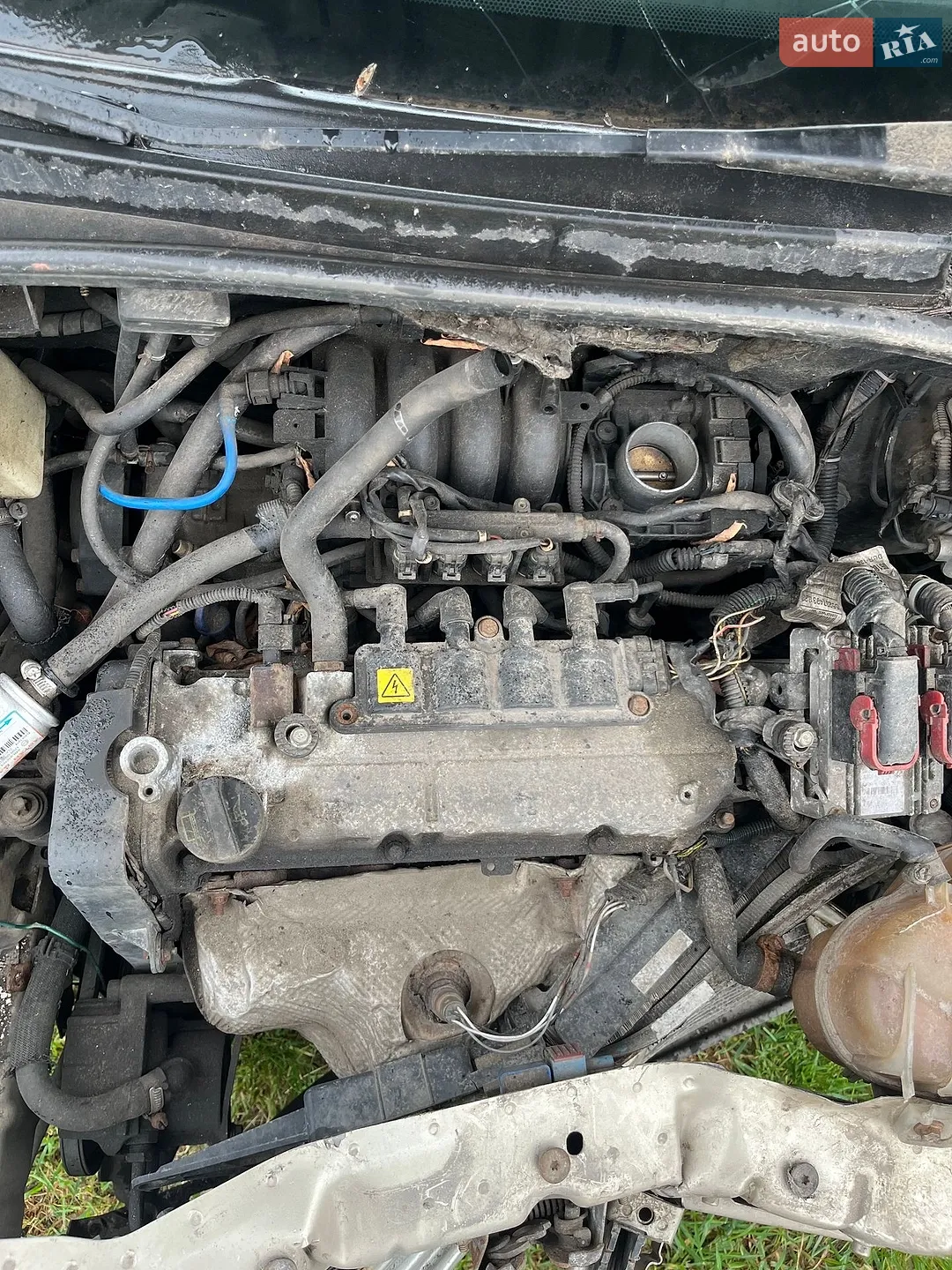 2012 Fiat Linea - мініатюра 6