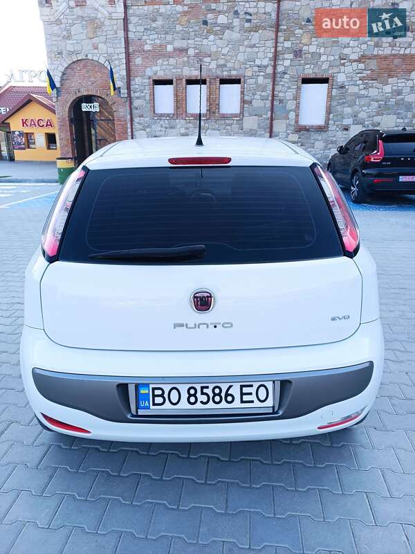 Хэтчбек Fiat Punto Evo 2011 в Тернополе