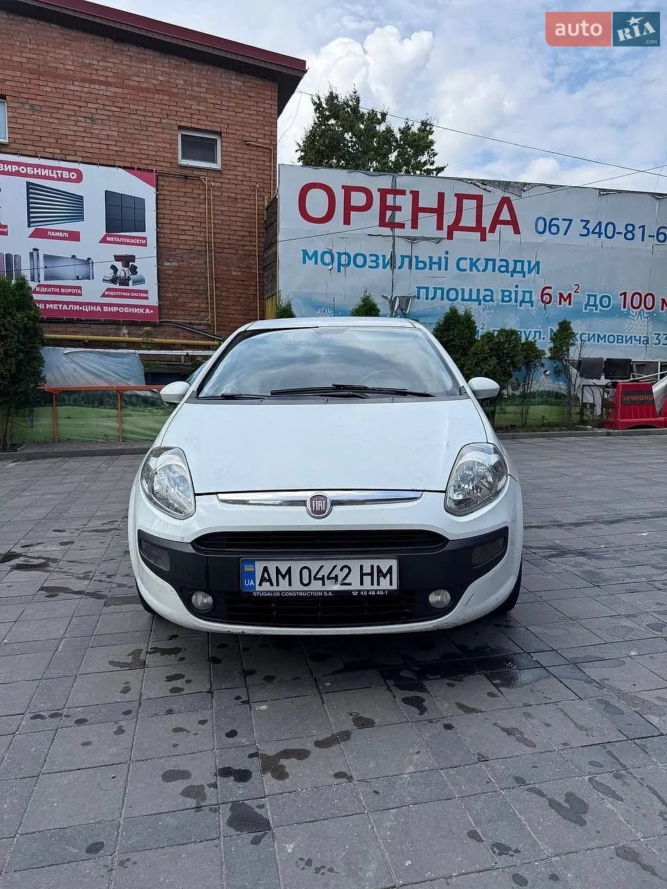 2010 Fiat Punto - мініатюра 2