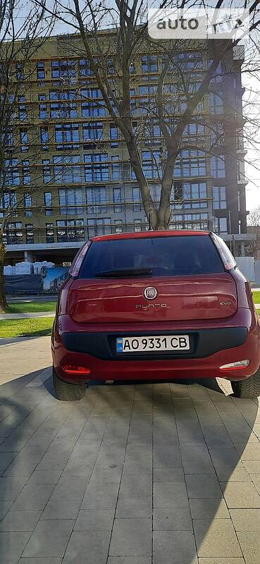 Хэтчбек Fiat Punto 2010 в Ужгороде