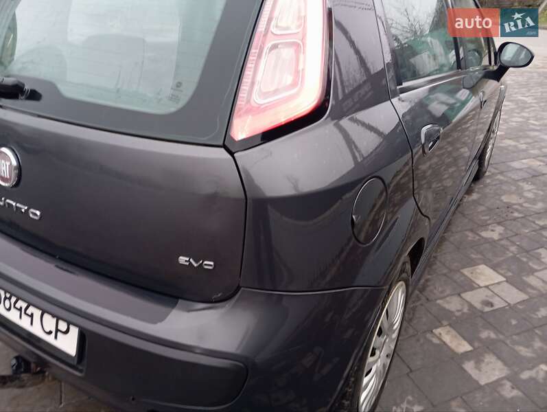 Хетчбек Fiat Punto 2010 в Городенці