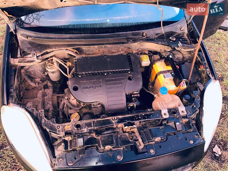 Хэтчбек Fiat Punto 2009 в Любашевке фото 7 Хэтчбек Fiat Punto 2009 в Любашевке