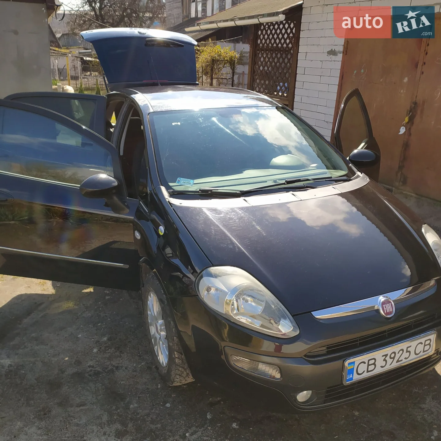 2010 Fiat Punto - мініатюра 13
