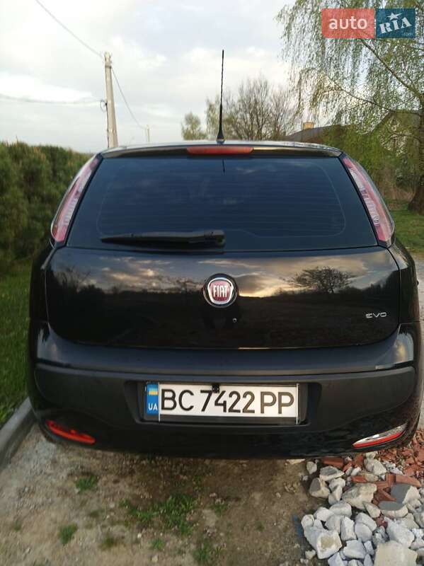 Хэтчбек Fiat Punto 2010 в Львове