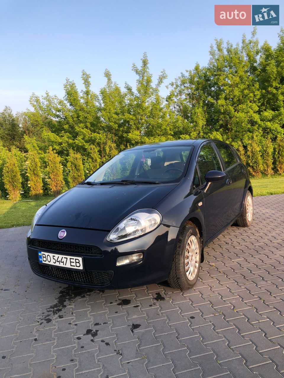 2013 Fiat Punto - мініатюра 26