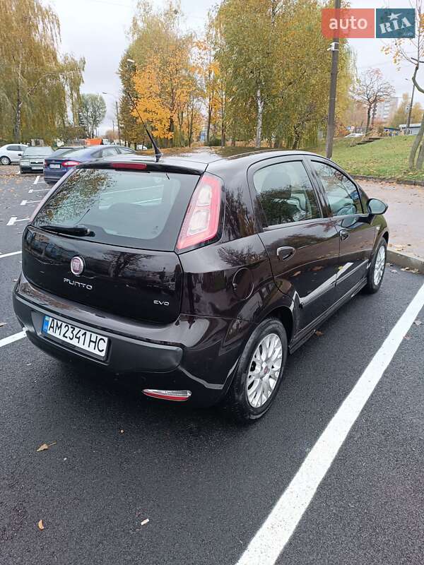 Хетчбек Fiat Punto 2011 в Житомирі фото 10 Хетчбек Fiat Punto 2011 в Житомирі