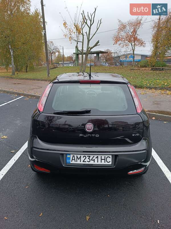 Хетчбек Fiat Punto 2011 в Житомирі фото 29 Хетчбек Fiat Punto 2011 в Житомирі