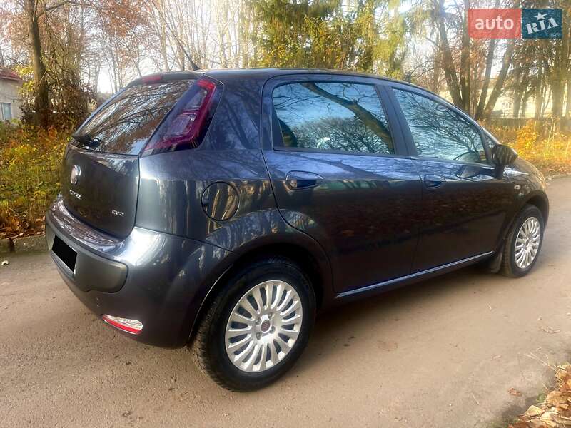 Хэтчбек Fiat Punto 2009 в Тернополе