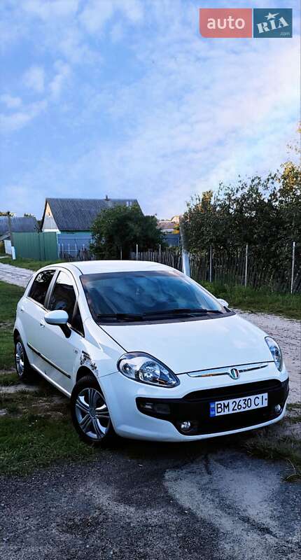 Хетчбек Fiat Punto 2009 в Сумах