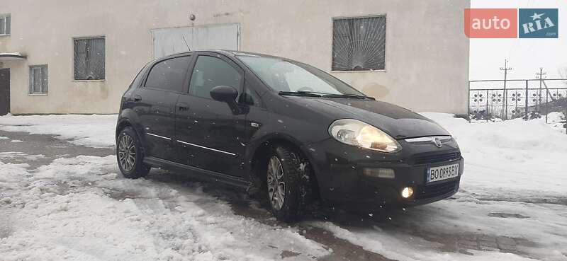 Хетчбек Fiat Punto 2011 в Борщеві