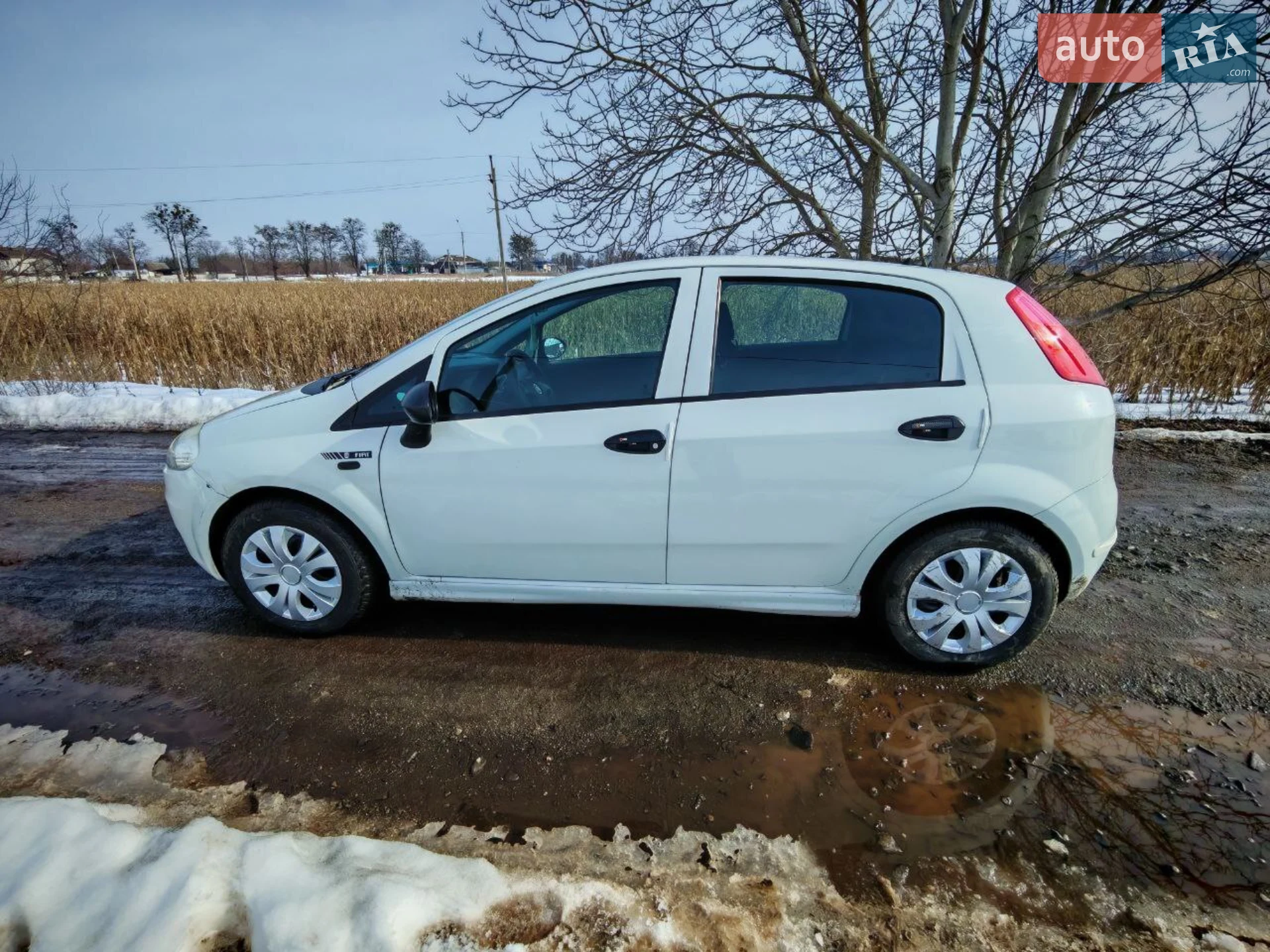 2010 Fiat Punto - мініатюра 4