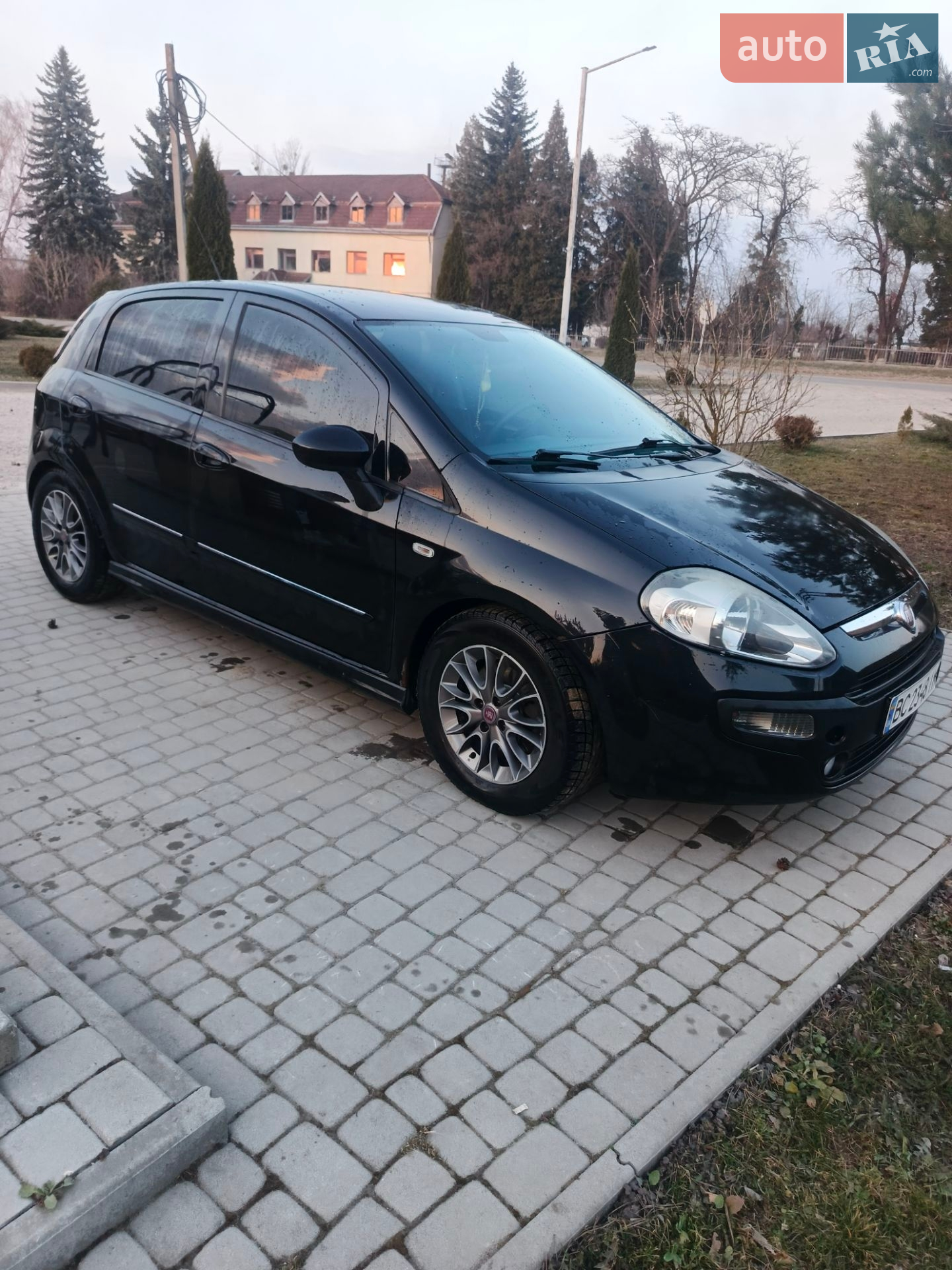 2010 Fiat Punto - мініатюра 3