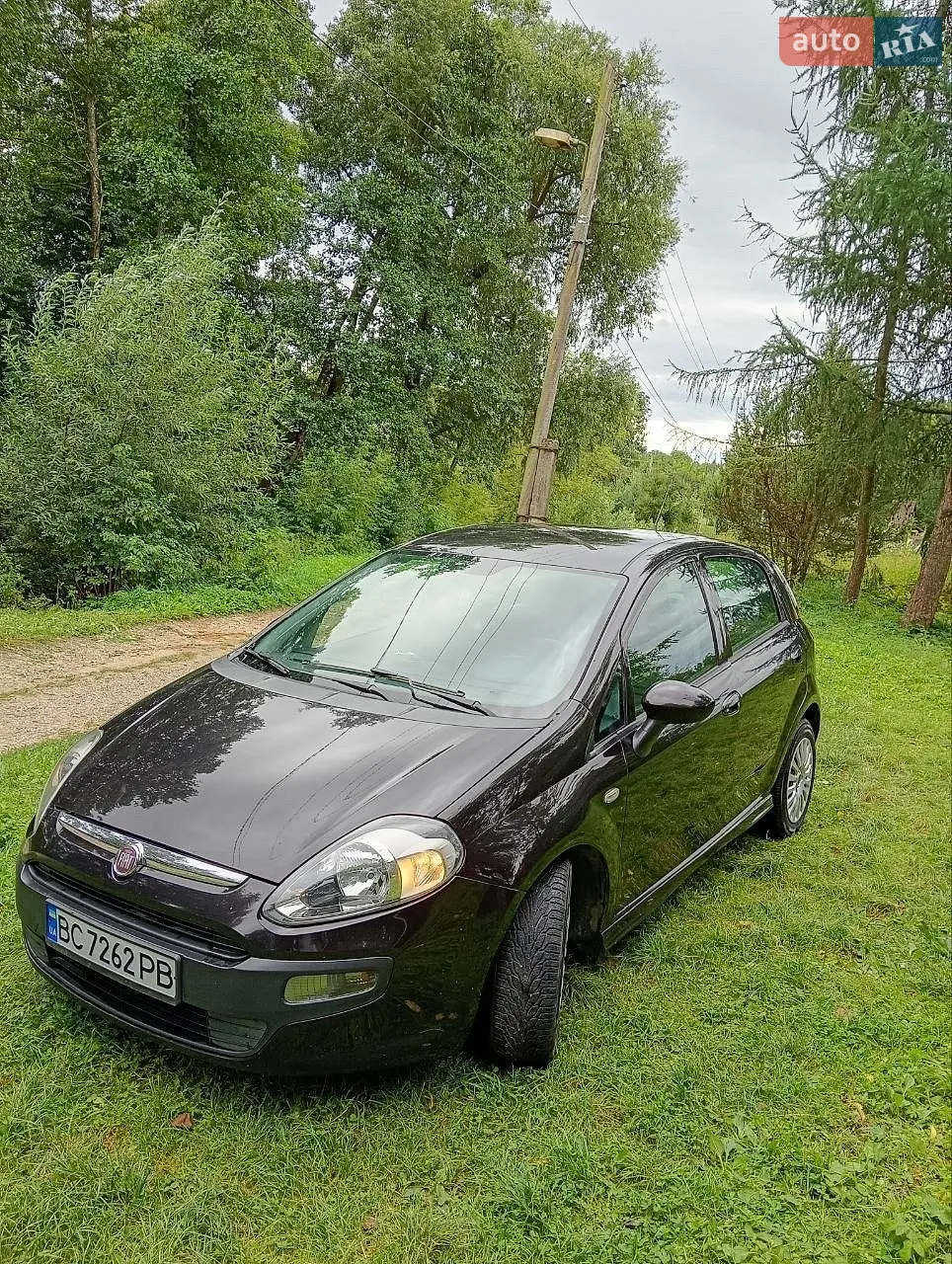 2010 Fiat Punto - мініатюра 3