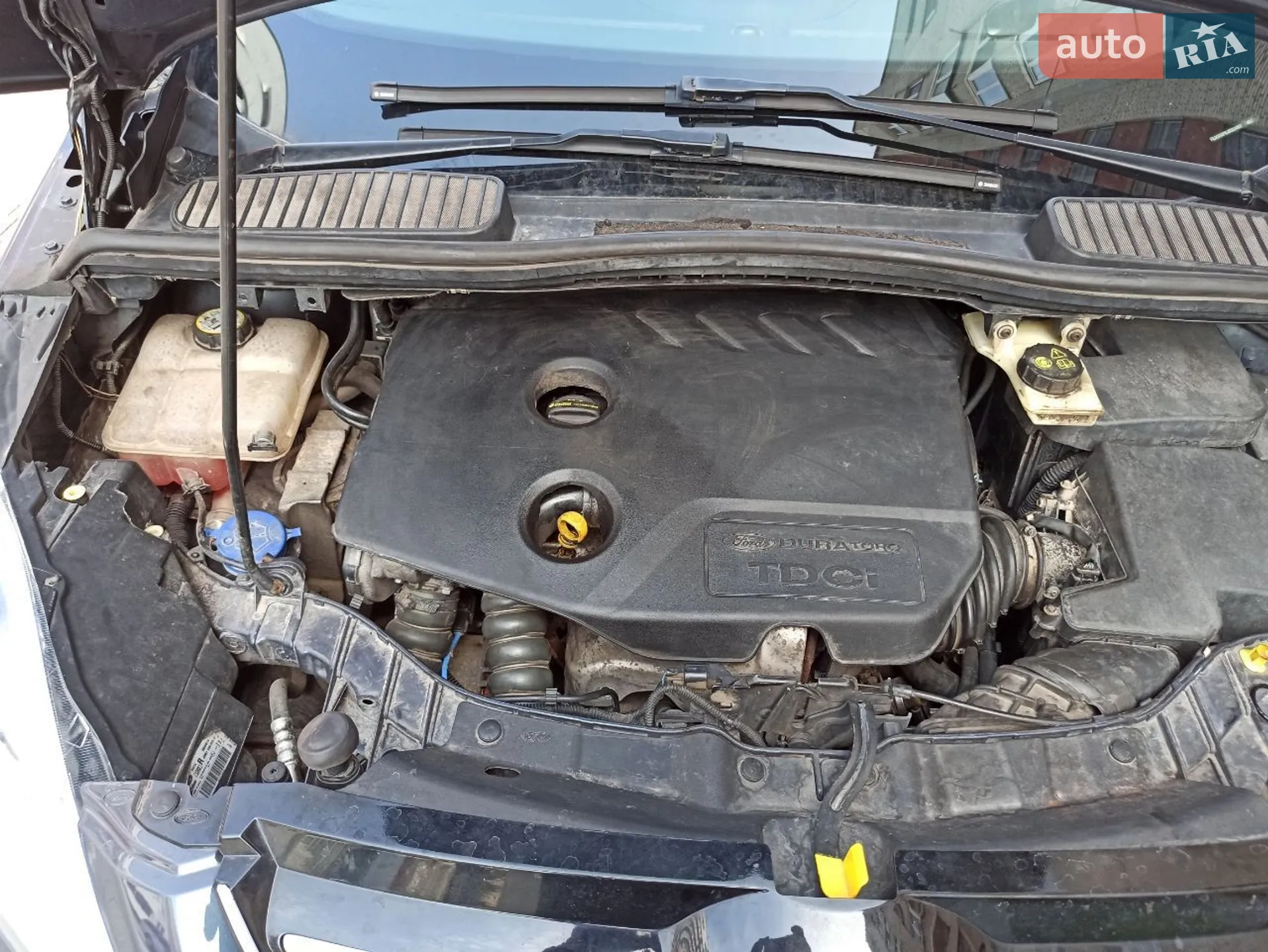 2011 Ford C-MAX - мініатюра 4