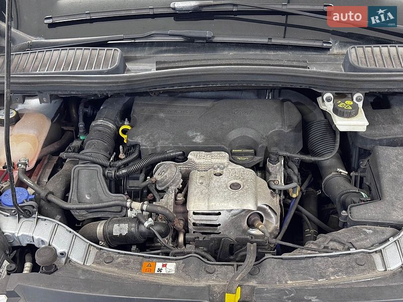Минивэн Ford C-Max 2014 в Стрые