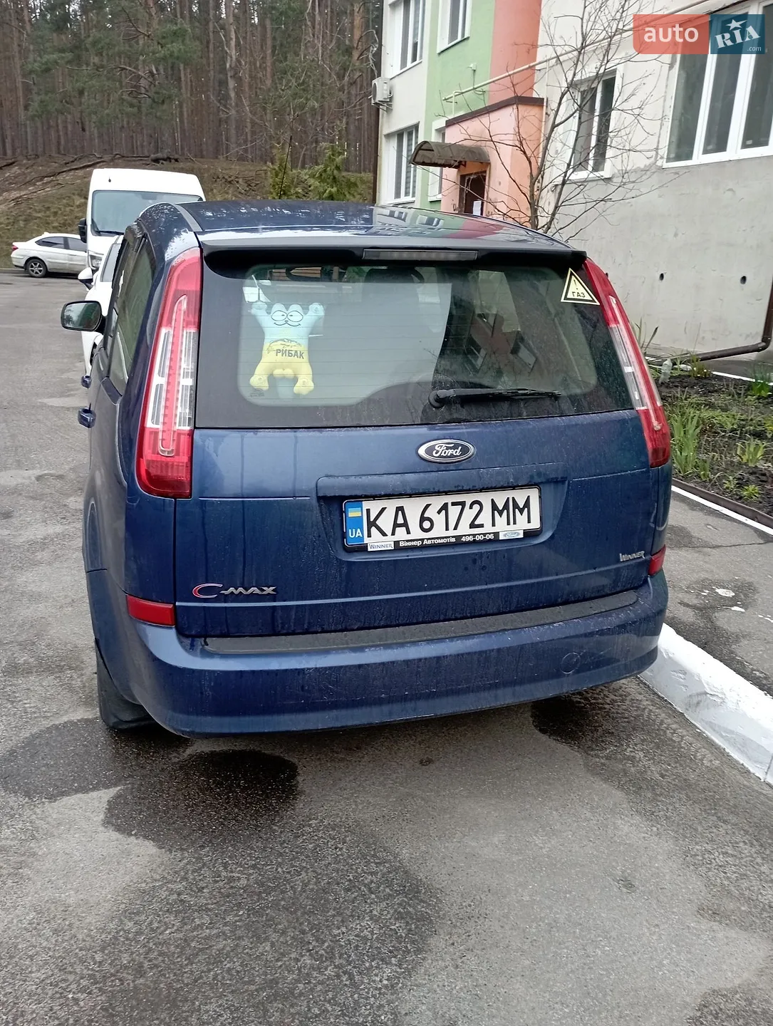 2010 Ford C-MAX - мініатюра 2