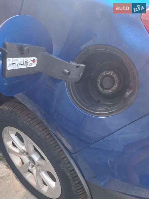 Позашляховик / Кросовер Ford EcoSport 2018 в Кропивницькому фото 67 Позашляховик / Кросовер Ford EcoSport 2018 в Кропивницькому