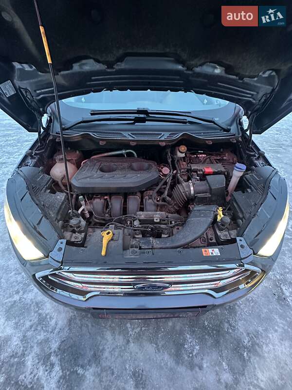 Внедорожник / Кроссовер Ford EcoSport 2020 в Белогородке фото 44 Внедорожник / Кроссовер Ford EcoSport 2020 в Белогородке