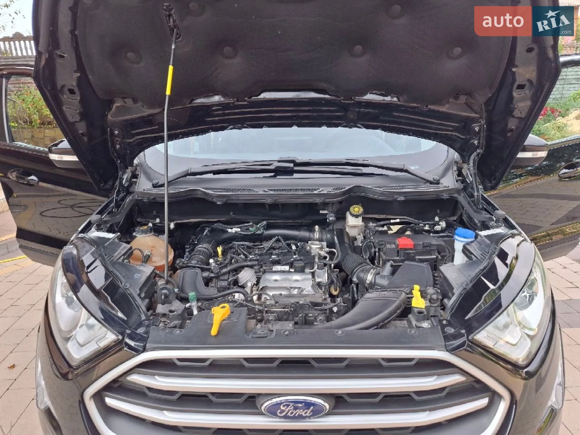 2021 Ford EcoSport - мініатюра 24
